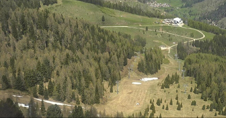 Webcam Moena-Alpe Lusia  - Pista Piavac