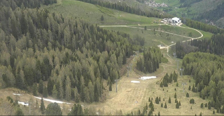 Webcam Moena-Alpe Lusia  - Pista Piavac