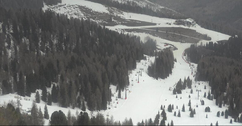 Webcam Moena-Alpe Lusia  - Pista Piavac
