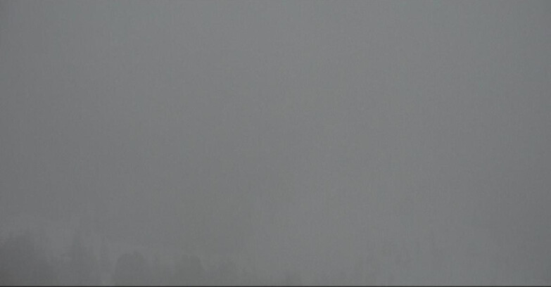 Webcam Moena-Alpe Lusia  - Pista Piavac