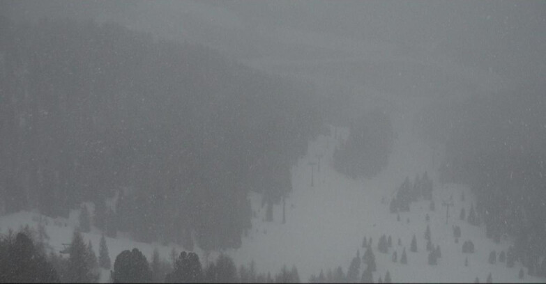 Webcam Moena-Alpe Lusia  - Pista Piavac