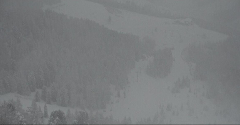 Webcam Moena-Alpe Lusia  - Pista Piavac