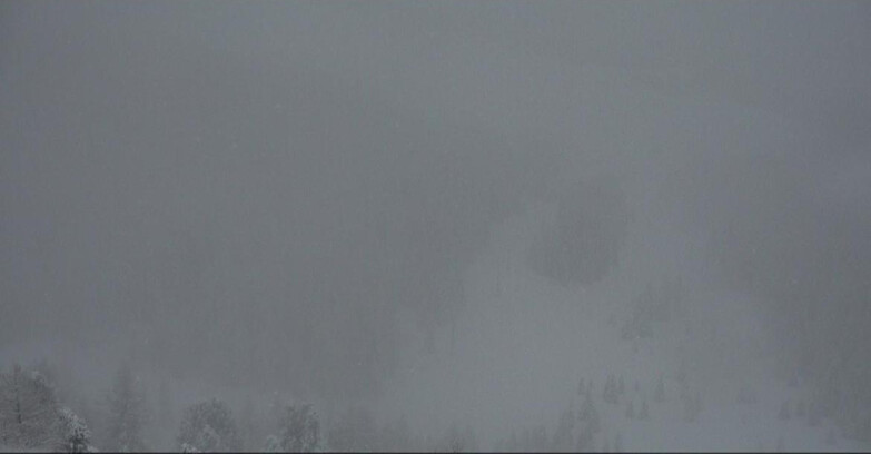 Webcam Moena-Alpe Lusia  - Pista Piavac