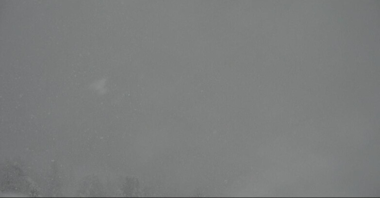 Webcam Moena-Alpe Lusia  - Pista Piavac