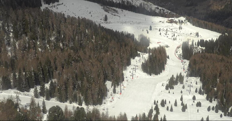 Webcam Moena-Alpe Lusia  - Pista Piavac