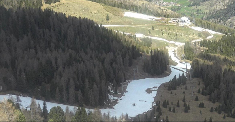 Webcam Moena-Alpe Lusia  - Pista Piavac
