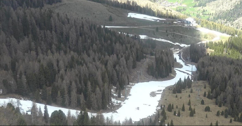 Webcam Moena-Alpe Lusia  - Pista Piavac