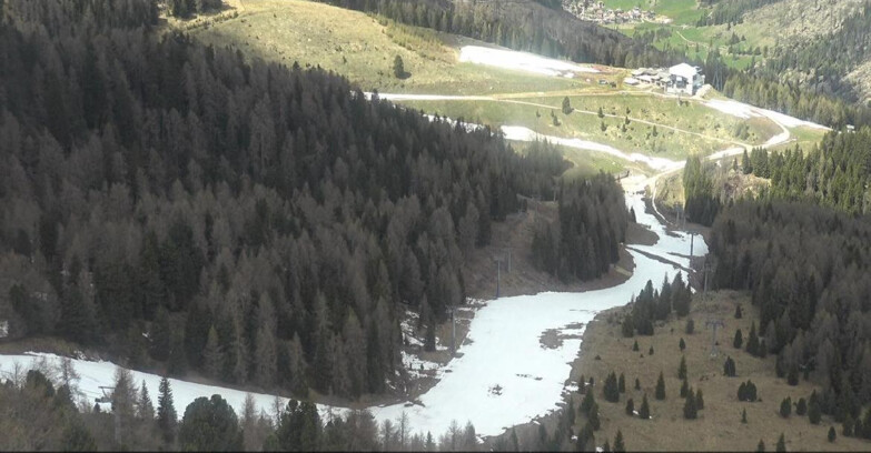 Webcam Moena-Alpe Lusia  - Pista Piavac