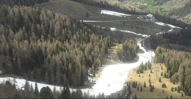 Webcam Moena-Alpe Lusia  - Pista Piavac