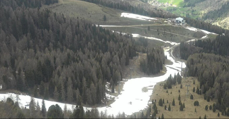 Webcam Moena-Alpe Lusia  - Pista Piavac