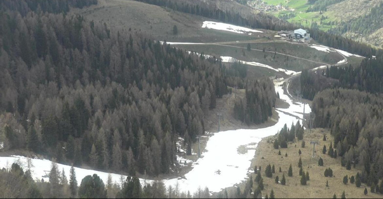 Webcam Moena-Alpe Lusia  - Pista Piavac