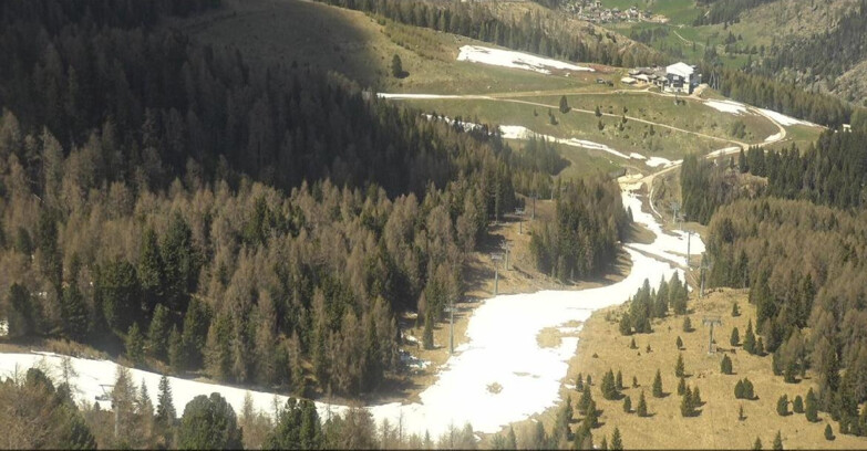 Webcam Moena-Alpe Lusia  - Pista Piavac