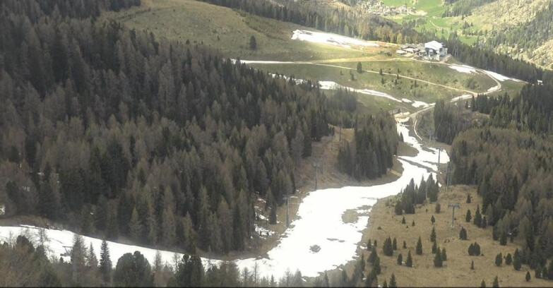 Webcam Moena-Alpe Lusia  - Pista Piavac