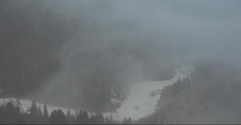 Webcam Moena-Alpe Lusia  - Pista Piavac