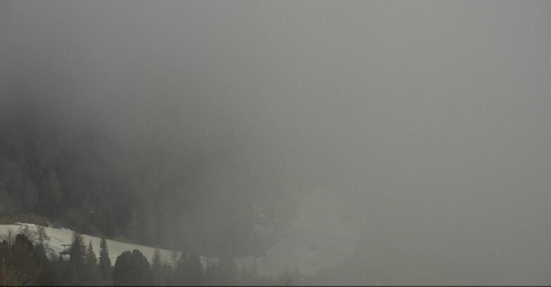 Webcam Moena-Alpe Lusia  - Pista Piavac