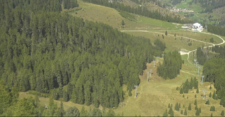 Webcam Moena-Alpe Lusia  - Pista Piavac