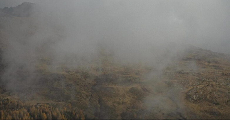 Webcam Moena-Alpe Lusia  - Arrivo seggiovia Campo-Laste