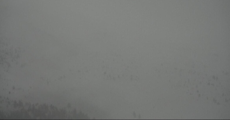 Webcam Моэна-Альпе-Лузия - Arrivo seggiovia Campo-Laste