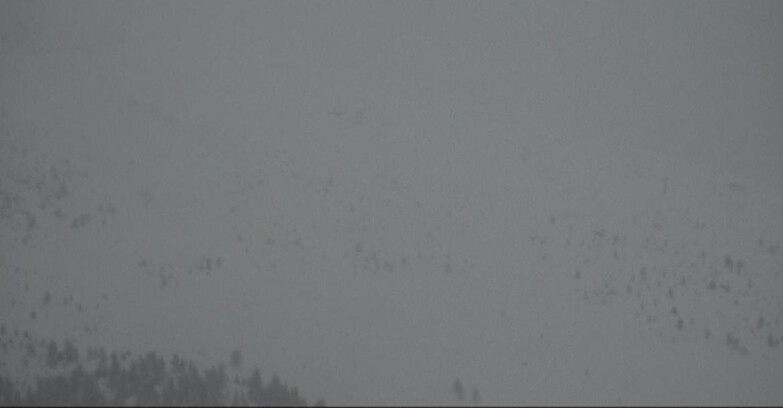 Webcam Моэна-Альпе-Лузия - Arrivo seggiovia Campo-Laste