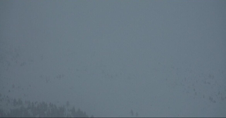 Webcam Moena-Alpe Lusia  - Arrivo seggiovia Campo-Laste