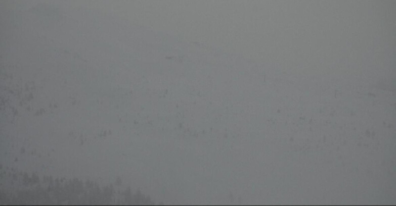 Webcam Moena-Alpe Lusia  - Arrivo seggiovia Campo-Laste