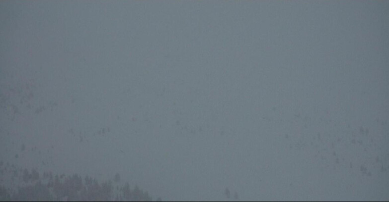 Webcam Moena-Alpe Lusia  - Arrivo seggiovia Campo-Laste