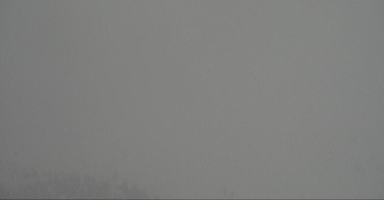 Webcam Моэна-Альпе-Лузия - Arrivo seggiovia Campo-Laste