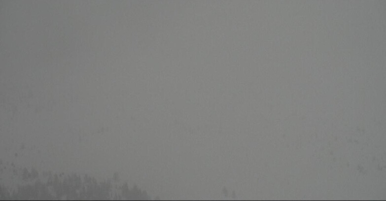 Webcam Моэна-Альпе-Лузия - Arrivo seggiovia Campo-Laste