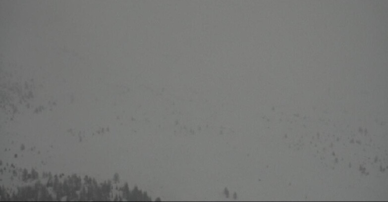 Webcam Моэна-Альпе-Лузия - Arrivo seggiovia Campo-Laste