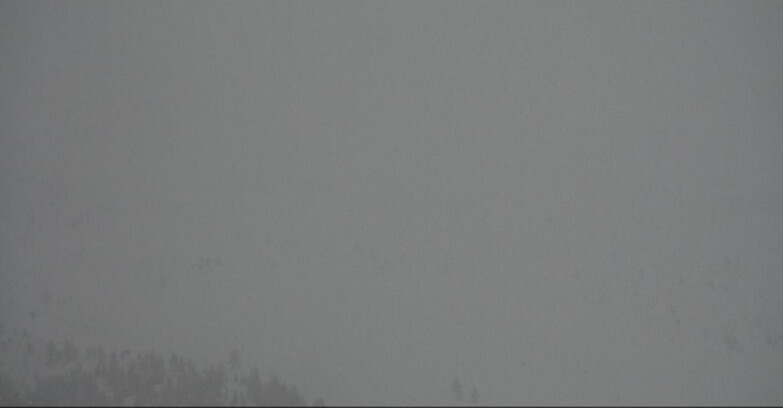 Webcam Моэна-Альпе-Лузия - Arrivo seggiovia Campo-Laste