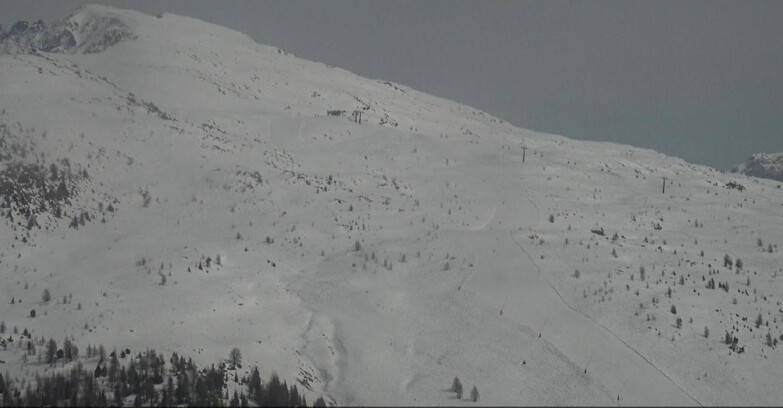 Webcam Moena-Alpe Lusia  - Arrivo seggiovia Campo-Laste