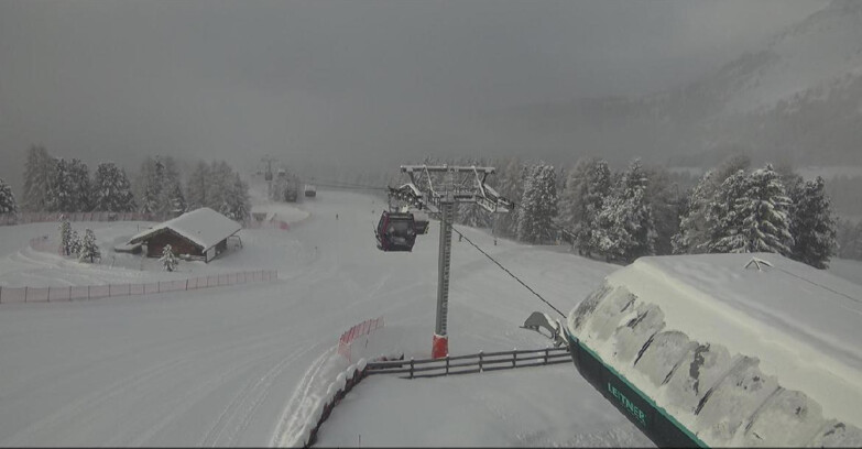 Webcam Bellamonte-Alpe Lusia  - La Morea