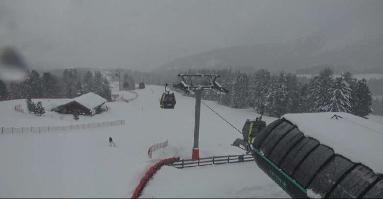 Webcam Bellamonte-Alpe Lusia  - La Morea