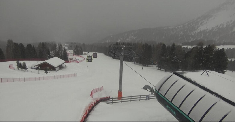 Webcam Bellamonte-Alpe Lusia  - La Morea