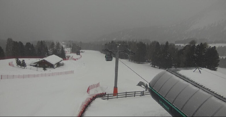 Webcam Bellamonte-Alpe Lusia  - La Morea