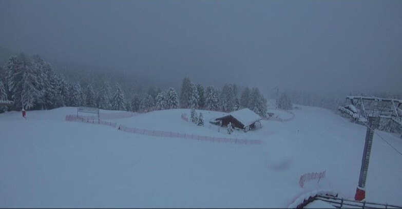 Webcam Bellamonte-Alpe Lusia  - Pista Le Fassane e Morea Snowpark
