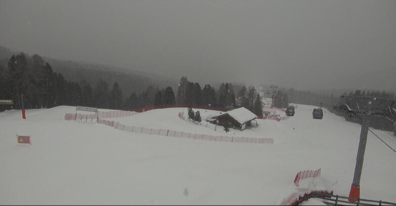 Webcam Bellamonte-Alpe Lusia  - Pista Le Fassane e Morea Snowpark