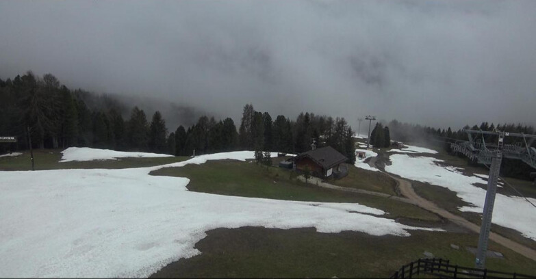Webcam Bellamonte-Alpe Lusia - Pista Le Fassane e Morea Snowpark
