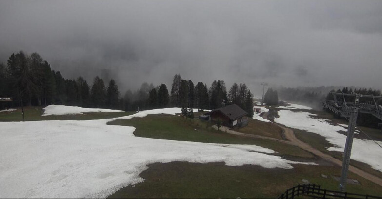 Webcam Bellamonte-Alpe Lusia - Pista Le Fassane e Morea Snowpark