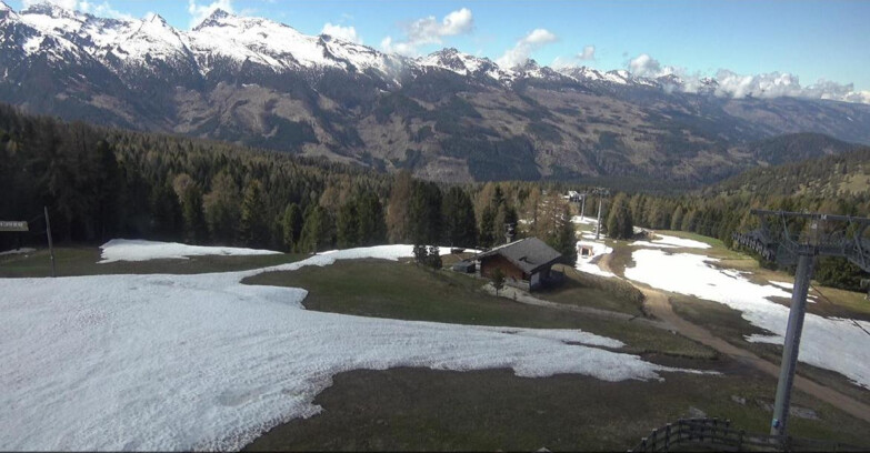 Webcam Bellamonte-Alpe Lusia  - Pista Le Fassane e Morea Snowpark