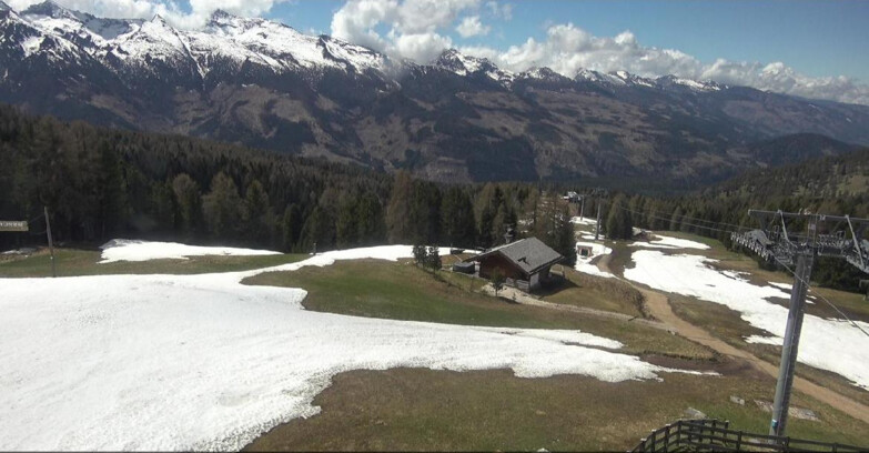 Webcam Bellamonte-Alpe Lusia  - Pista Le Fassane e Morea Snowpark