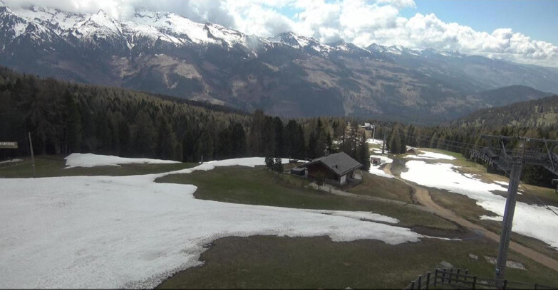 Webcam Bellamonte-Alpe Lusia  - Pista Le Fassane e Morea Snowpark