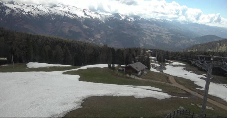 Webcam Bellamonte-Alpe Lusia  - Pista Le Fassane e Morea Snowpark