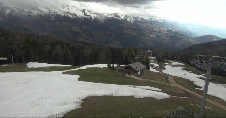 Webcam Bellamonte-Alpe Lusia  - Pista Le Fassane e Morea Snowpark