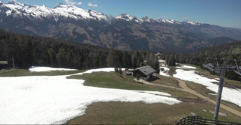 Webcam Bellamonte-Alpe Lusia - Pista Le Fassane e Morea Snowpark