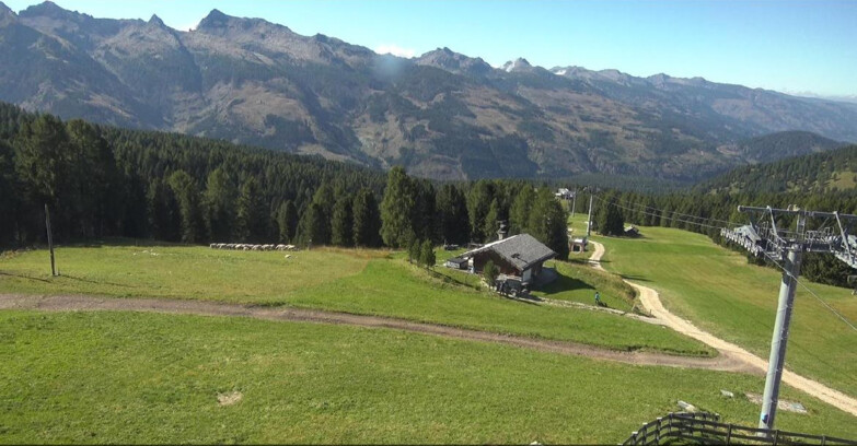 Webcam Bellamonte-Alpe Lusia  - Pista Le Fassane e Morea Snowpark
