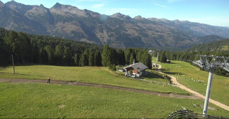 Webcam Bellamonte-Alpe Lusia - Pista Le Fassane e Morea Snowpark