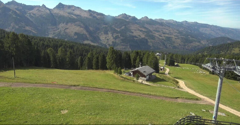 Webcam Bellamonte-Alpe Lusia - Pista Le Fassane e Morea Snowpark
