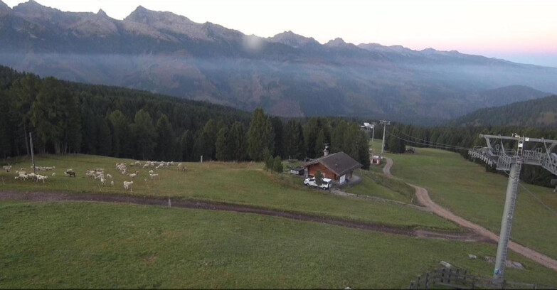 Webcam Bellamonte-Alpe Lusia - Pista Le Fassane e Morea Snowpark