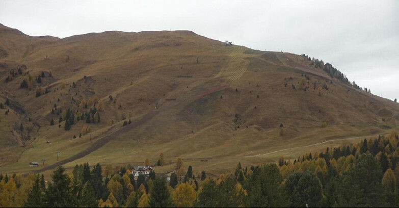 Webcam Bellamonte-Alpe Lusia  - Pista direttissima Le Cune